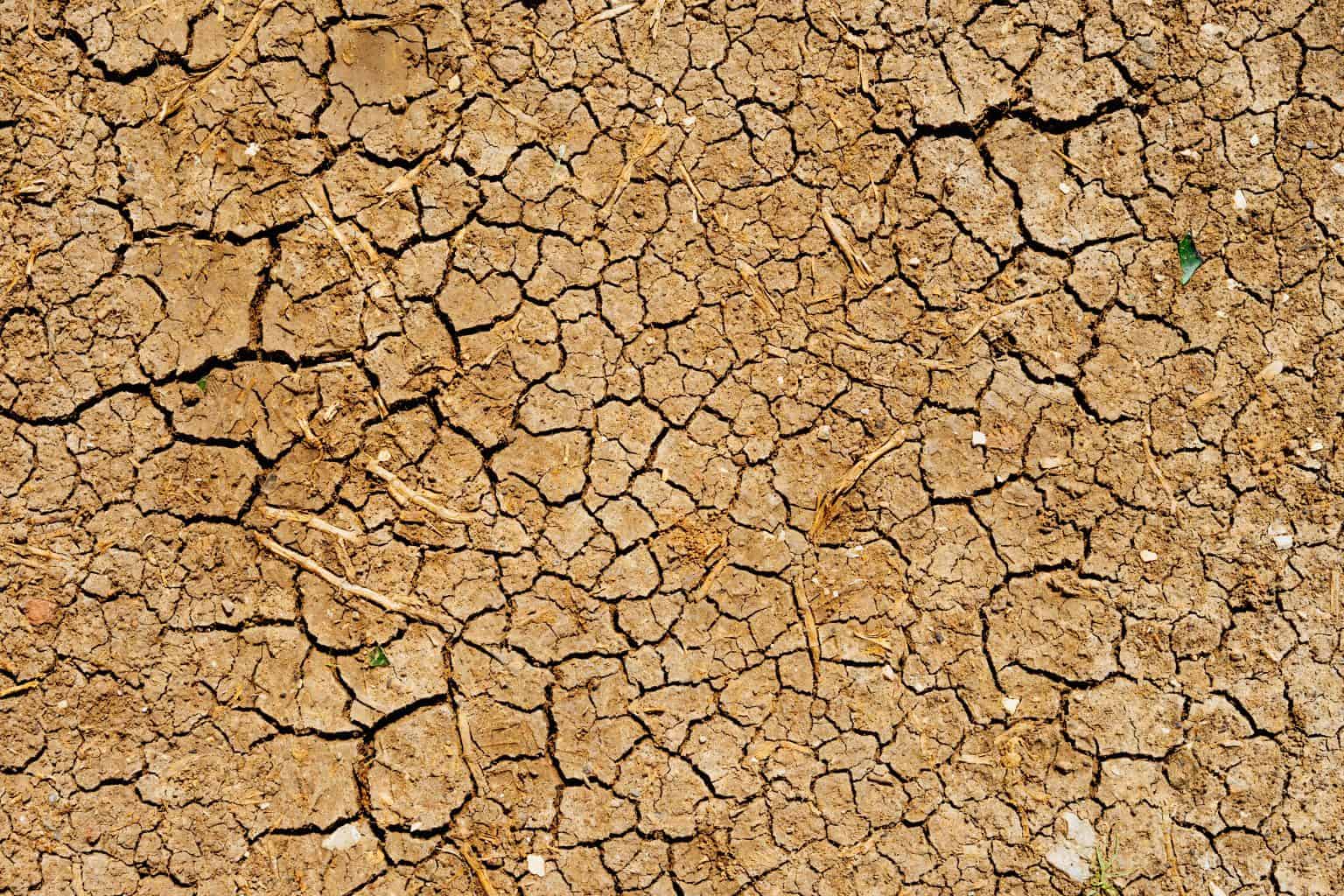 Hoeveel Liter Water Per Dag Verbruik