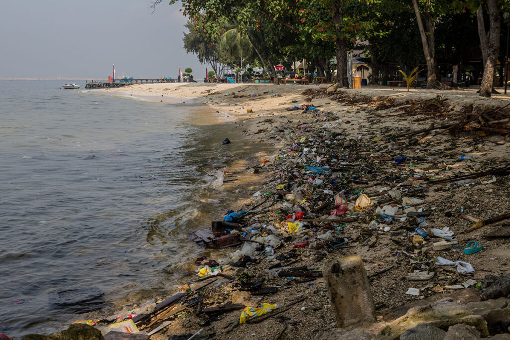 Made Blue fights against Plastic Soup